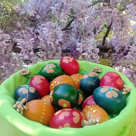 Belgrade Apartment Happy Garden Εξωτερικό φωτογραφία