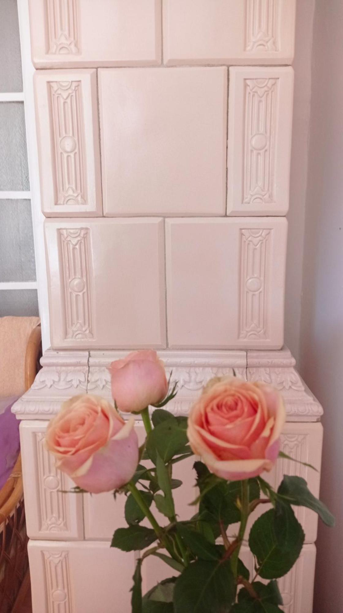Belgrade Apartment Happy Garden Εξωτερικό φωτογραφία