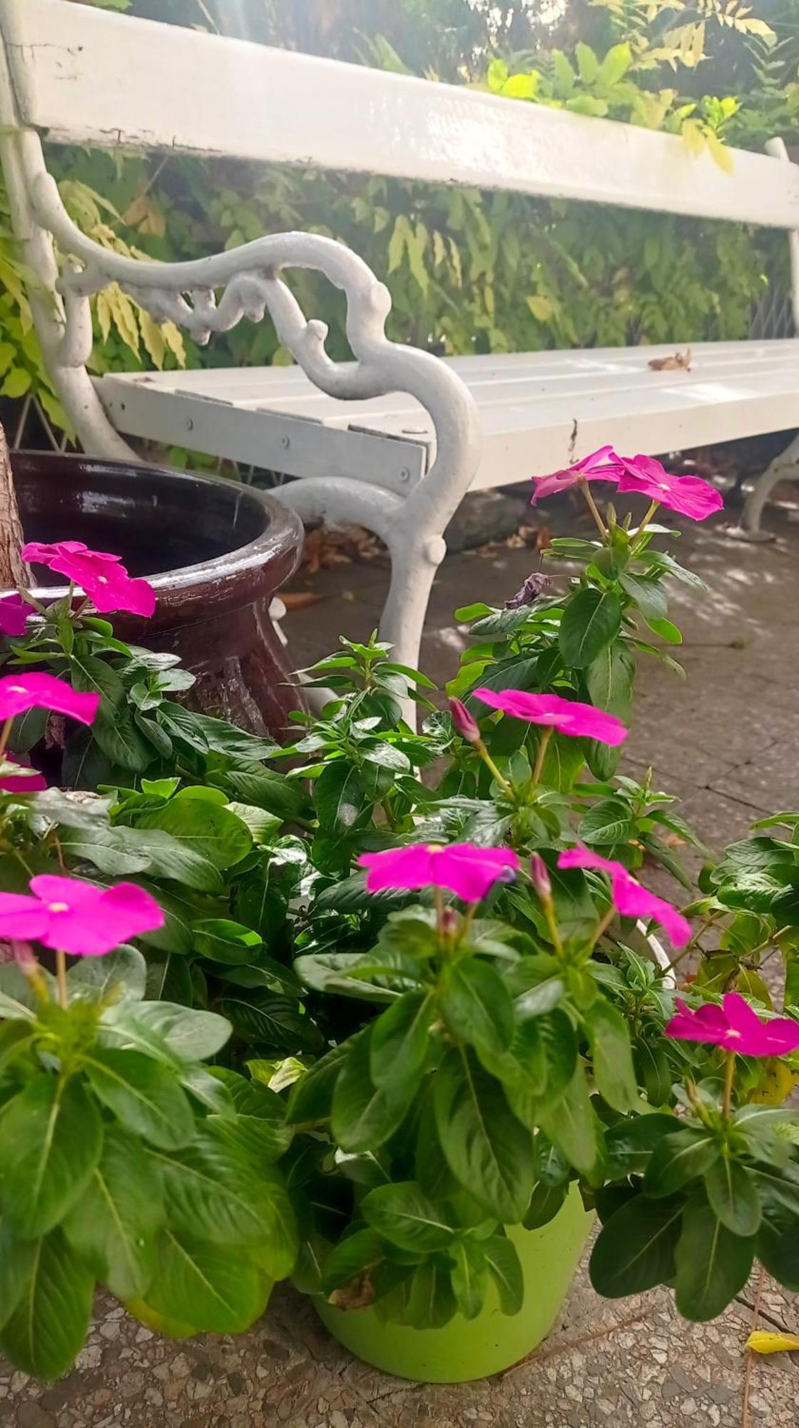 Belgrade Apartment Happy Garden Εξωτερικό φωτογραφία