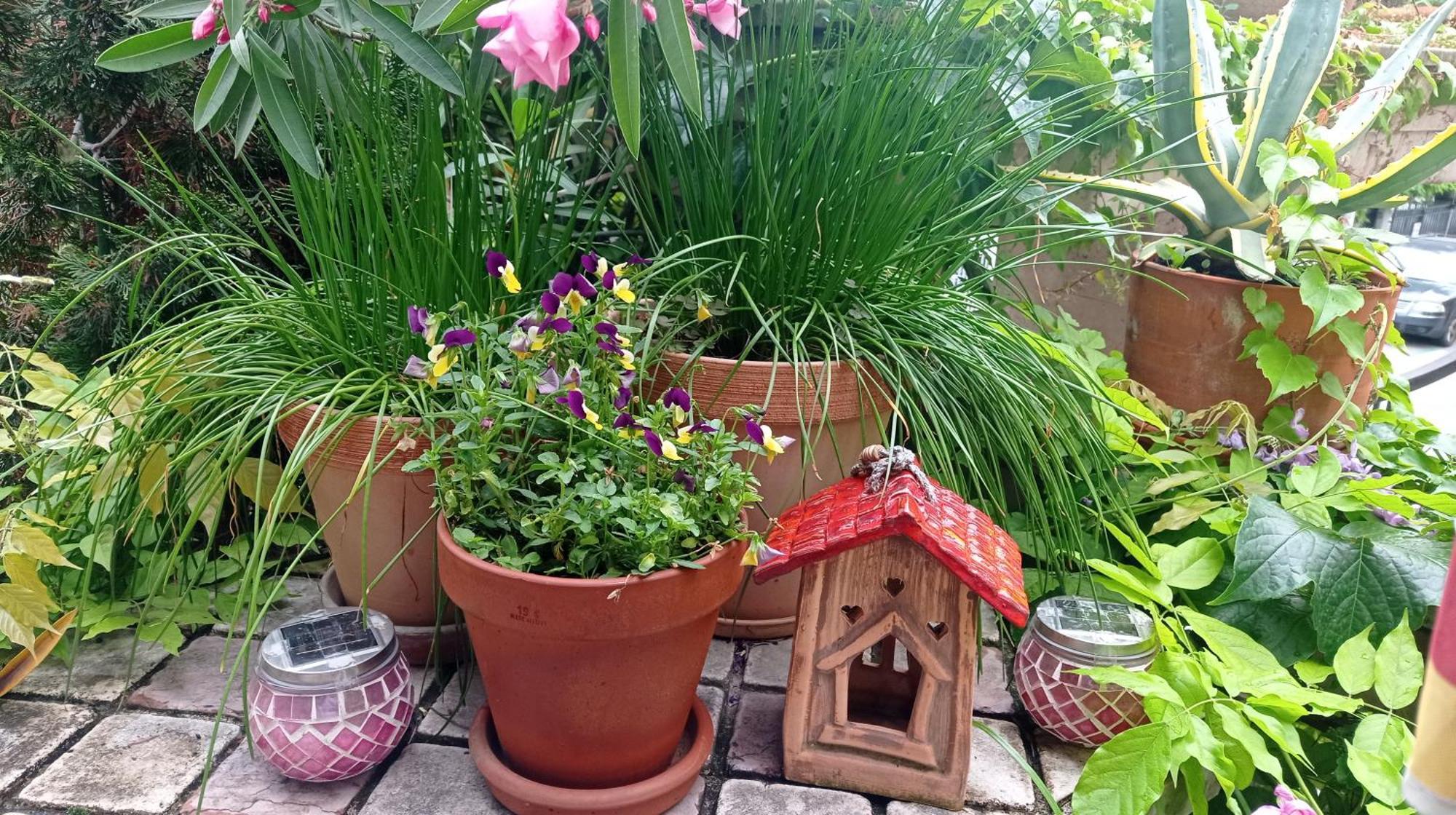 Belgrade Apartment Happy Garden Εξωτερικό φωτογραφία