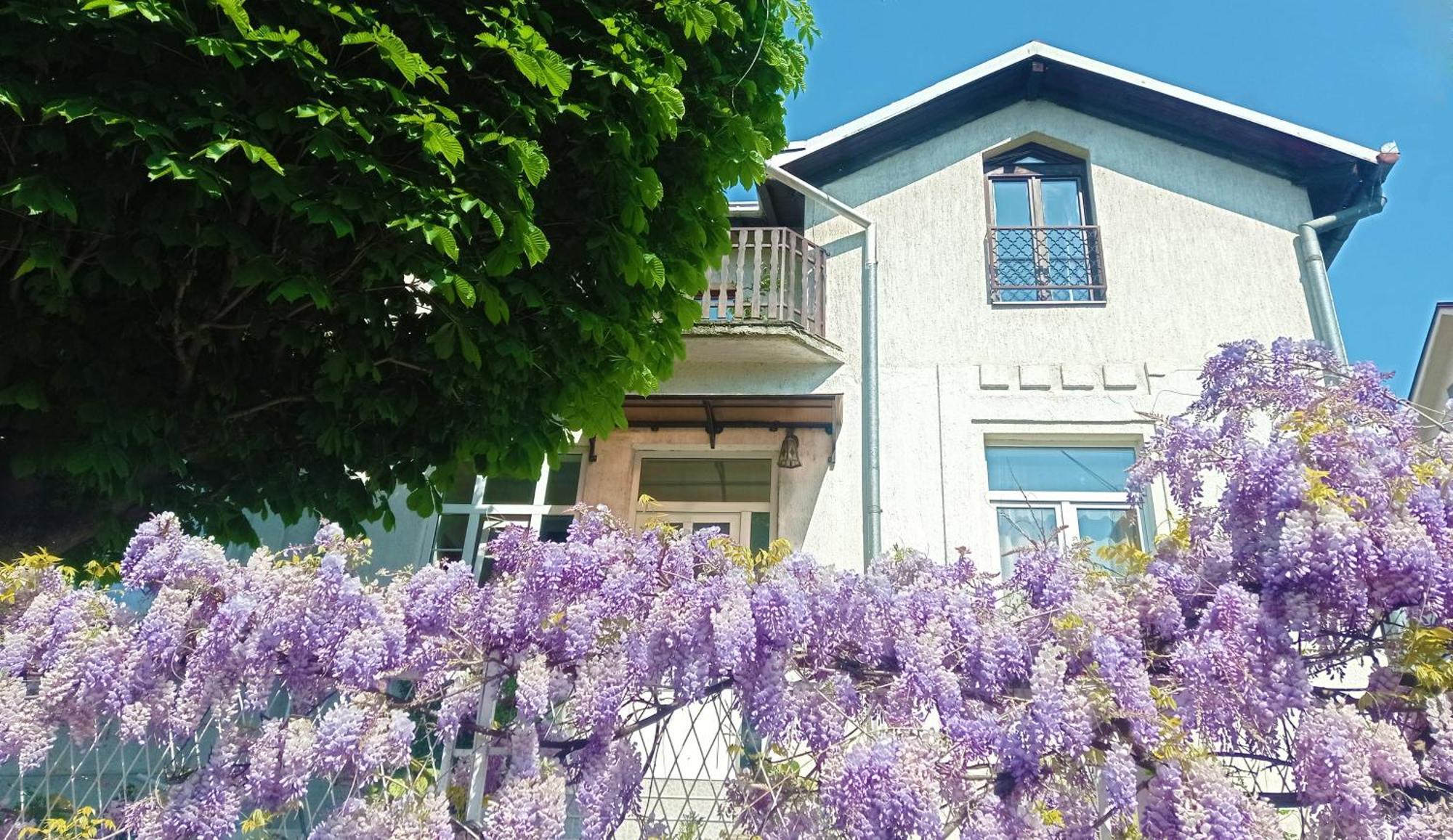 Belgrade Apartment Happy Garden Εξωτερικό φωτογραφία