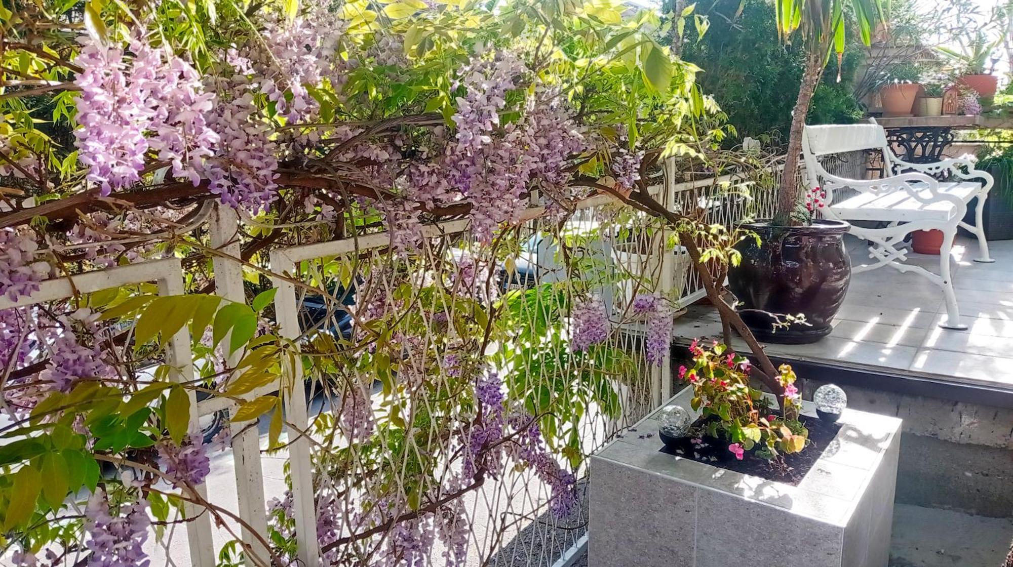 Belgrade Apartment Happy Garden Εξωτερικό φωτογραφία