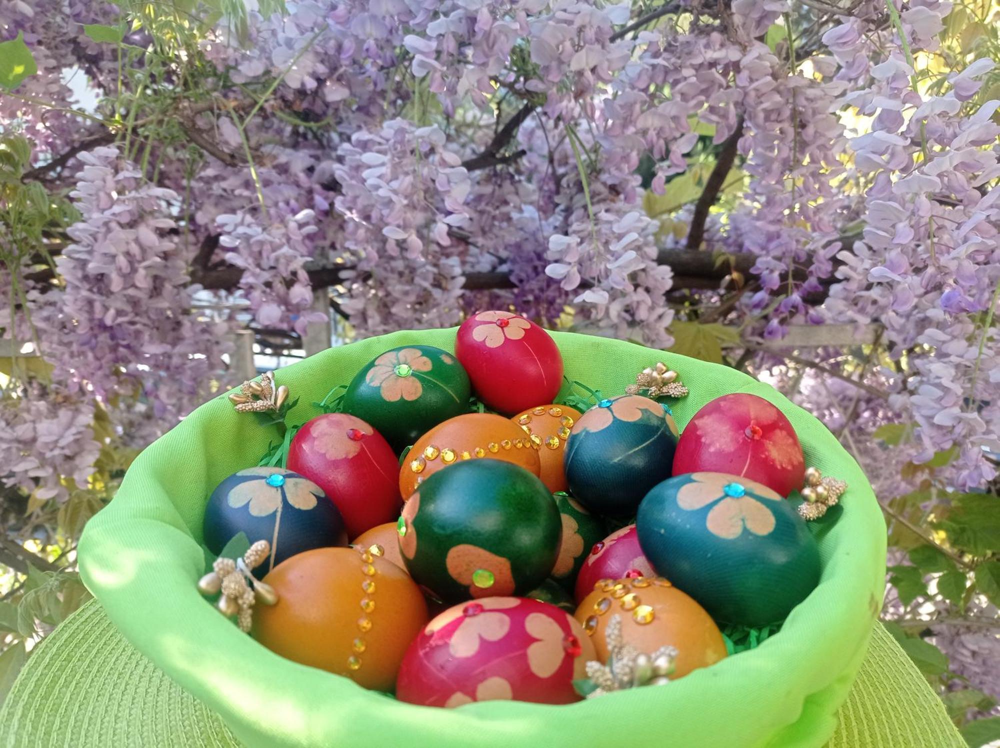Belgrade Apartment Happy Garden Εξωτερικό φωτογραφία