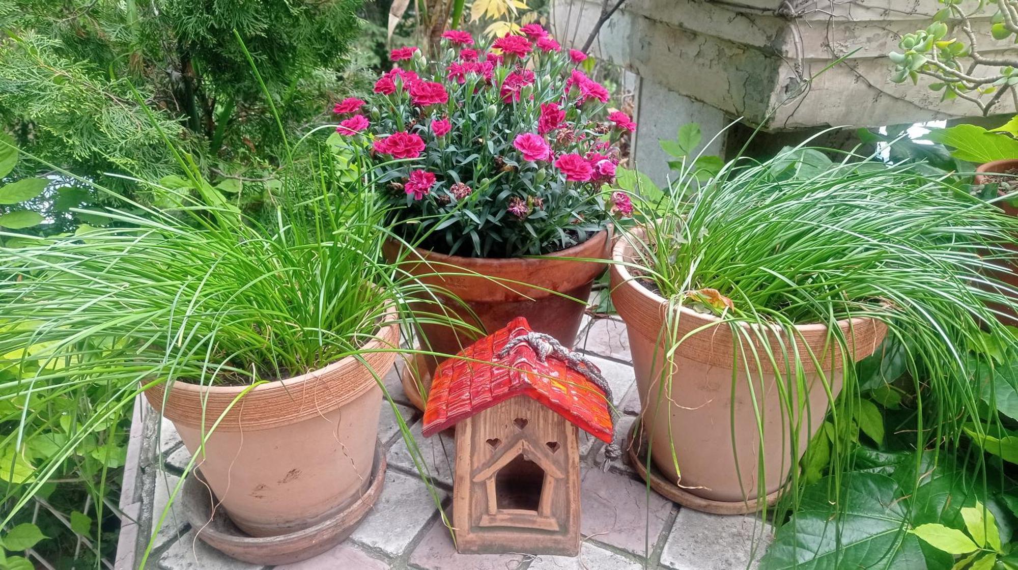 Belgrade Apartment Happy Garden Εξωτερικό φωτογραφία